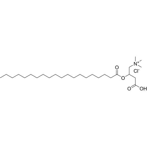 Eicosanoyl-L-carnitine chloride 149116-07-4